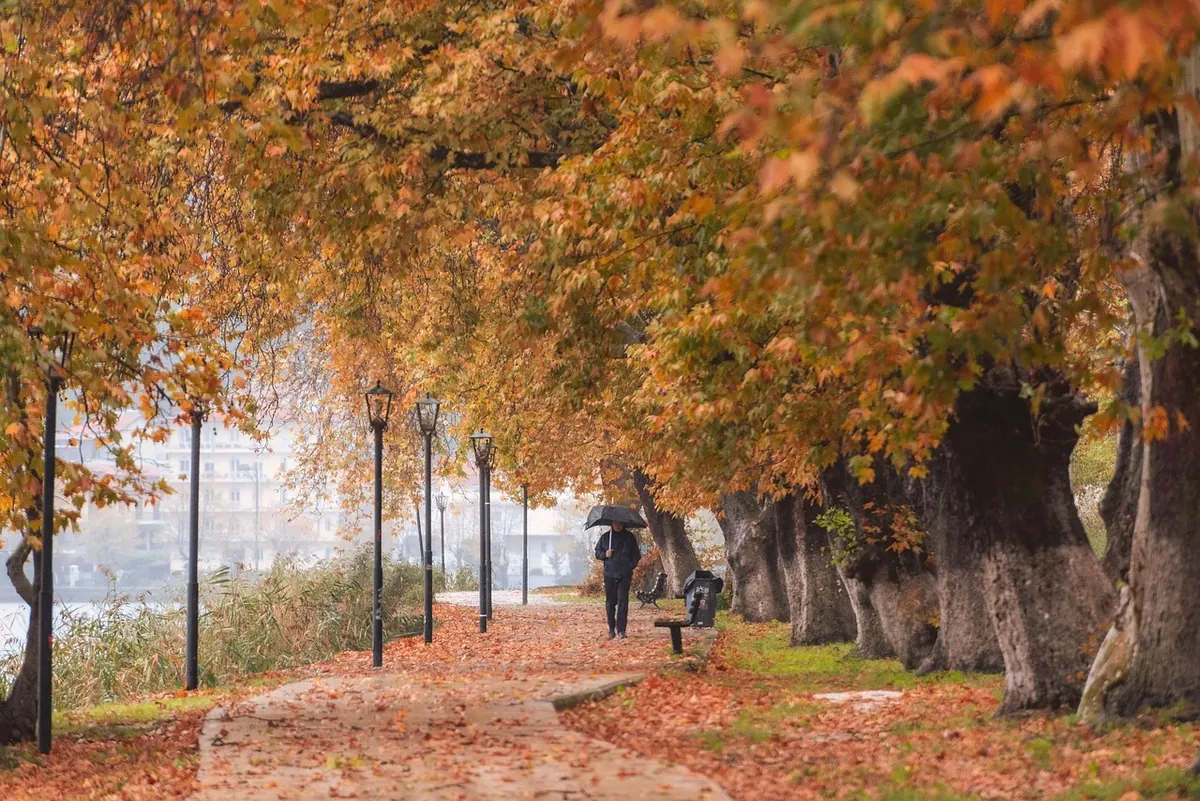 Seasonal Portfolio Refresh: What to Shoot in Autumn in Your Local Park